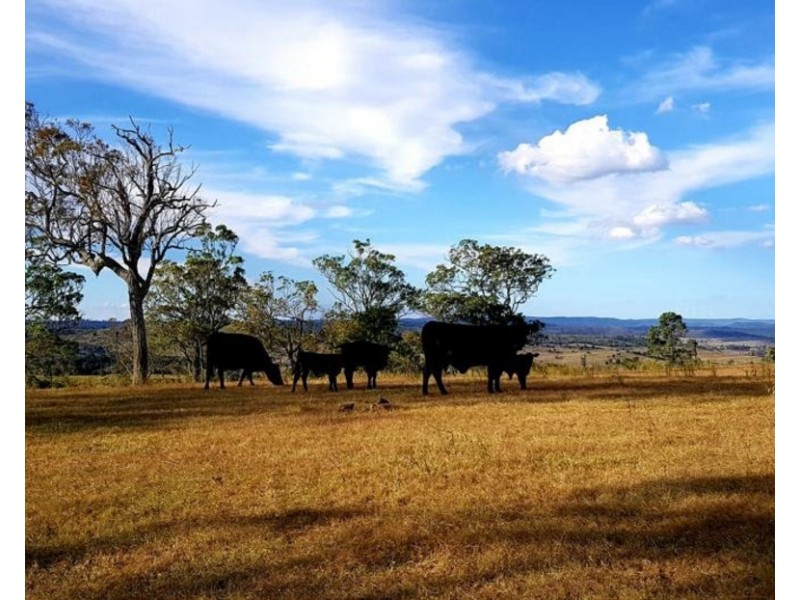 1277 Djuan Road, Haden QLD 4353