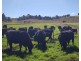 1277 Djuan Road, Haden QLD 4353