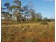 566 Meringandan Road, Meringandan QLD 4352
