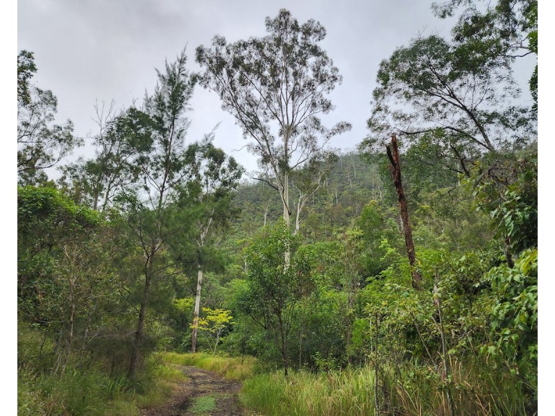 887 Rossmore Road, Black Snake QLD 4600