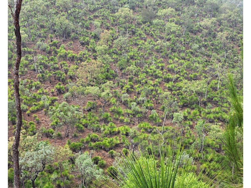 887 Rossmore Road, Black Snake QLD 4600