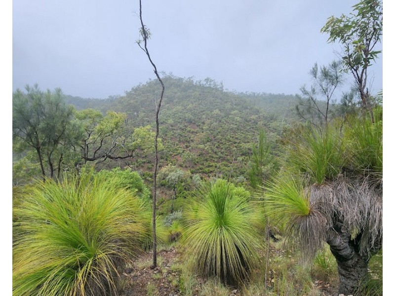 887 Rossmore Road, Black Snake QLD 4600