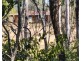 95 Six Mile Creek Road, Postmans Ridge QLD 4352