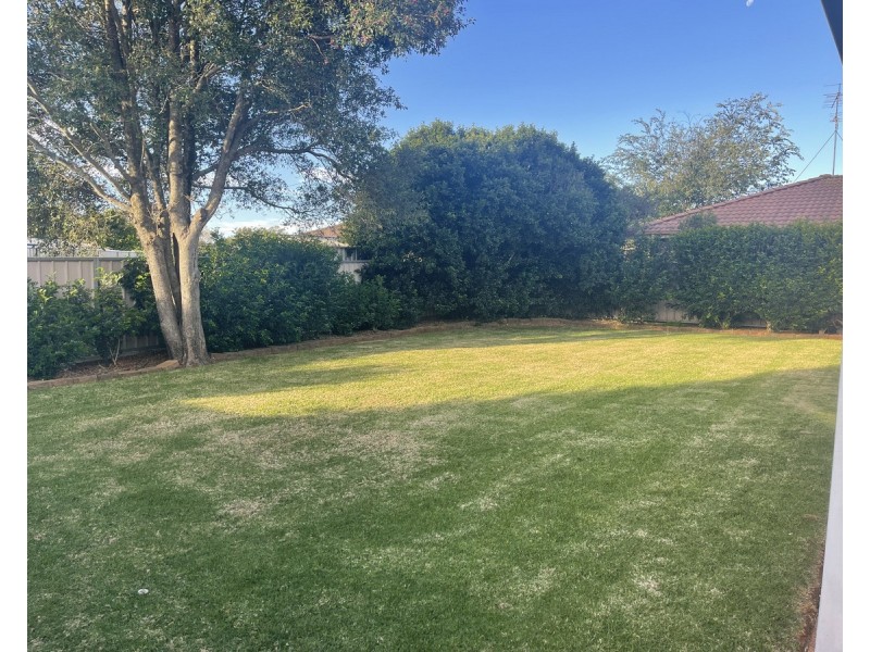 17 Edzill Street, Wilsonton Heights QLD 4350