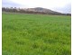 442 O’Conner Road, Coalbank QLD 4352