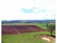 442 O’Conner Road, Coalbank QLD 4352