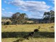 442 O’Conner Road, Coalbank QLD 4352