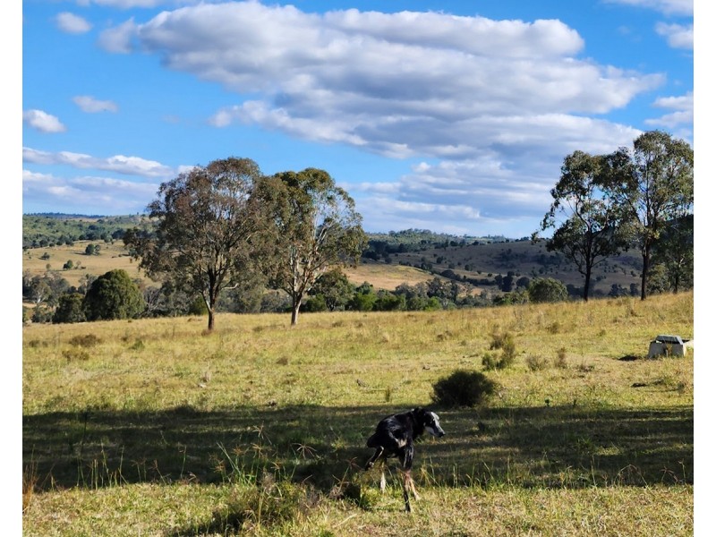 442 O’Conner Road, Coalbank QLD 4352
