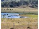442 O’Conner Road, Coalbank QLD 4352