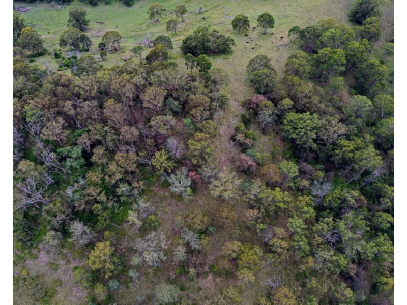 128 Garvey Road, Ravensbourne QLD 4352