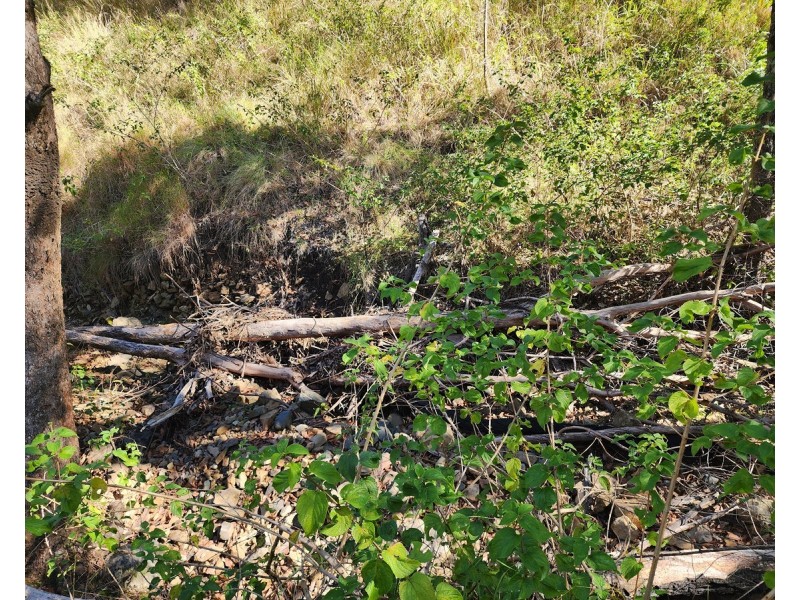 128 Garvey Road, Ravensbourne QLD 4352