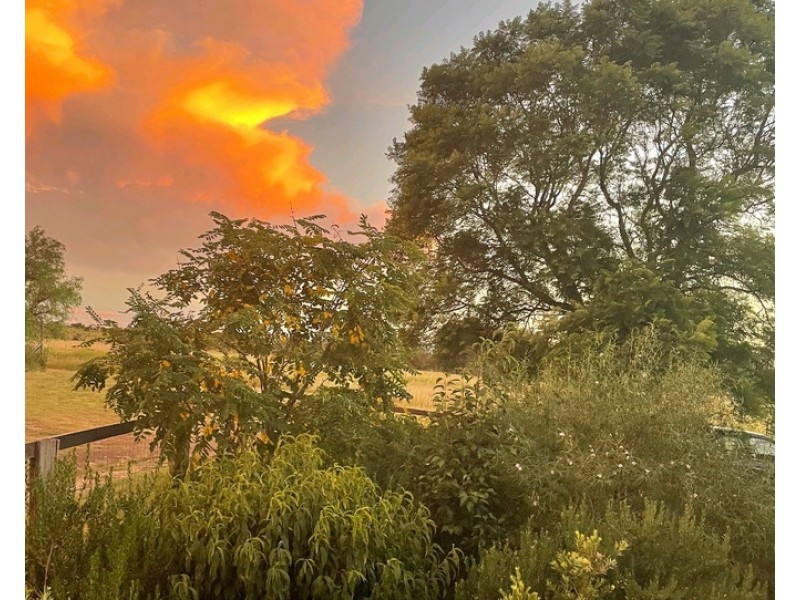 119 Hartwigs Road, Douglas QLD 4354