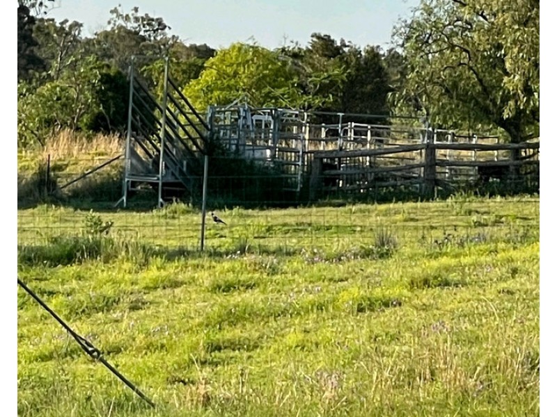 119 Hartwigs Road, Douglas QLD 4354