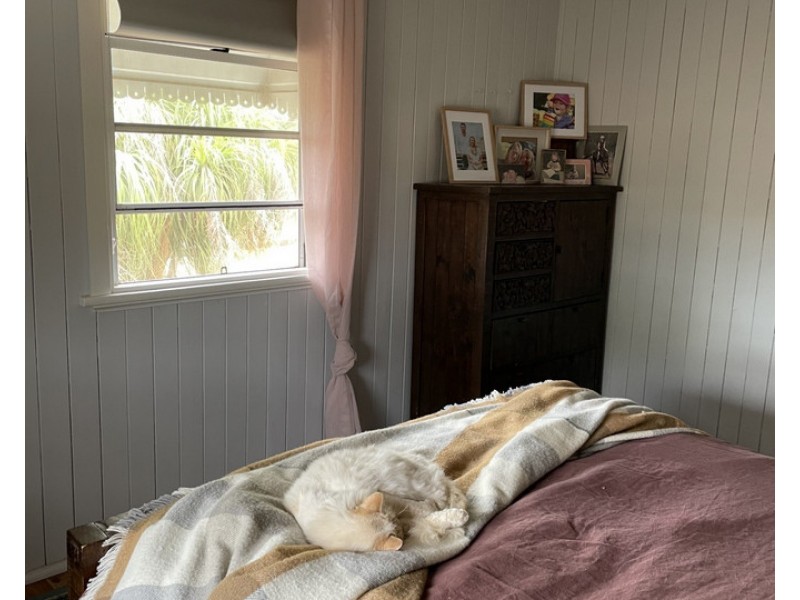 119 Hartwigs Road, Douglas QLD 4354