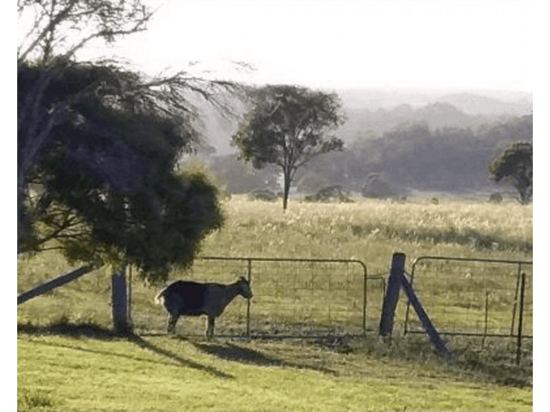 63 Green Acres Road, Groomsville QLD 4352