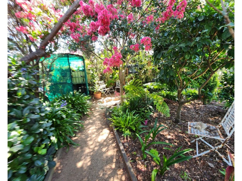 14 Vicky Avenue, Crows Nest QLD 4355
