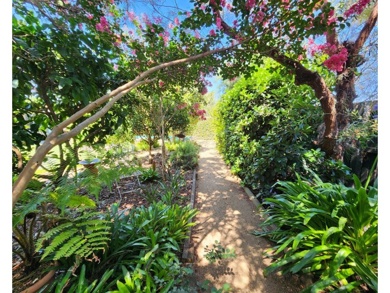 14 Vicky Avenue, Crows Nest QLD 4355