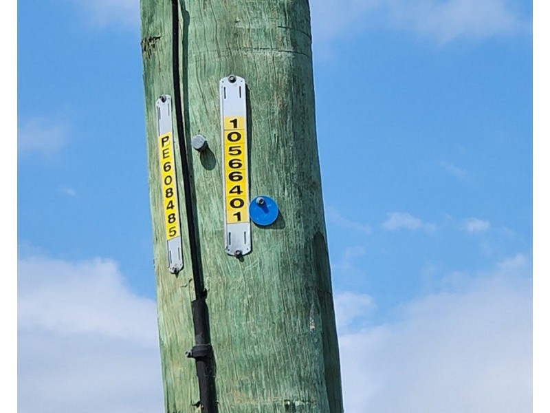 Lot 7 Charleys Gully Road, Freestone QLD 4370