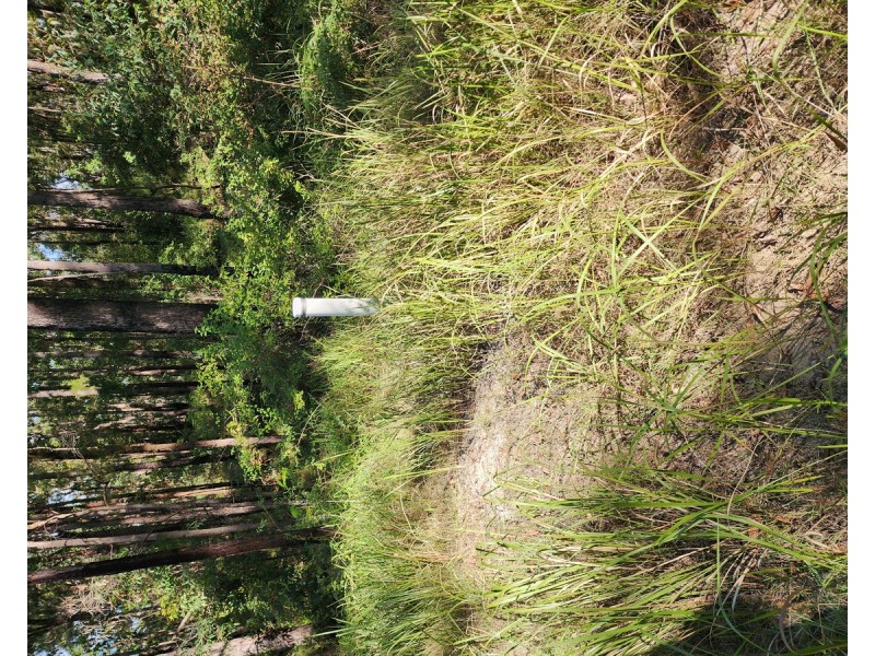 1 Seventeen Mile Road, Buaraba South QLD 4311