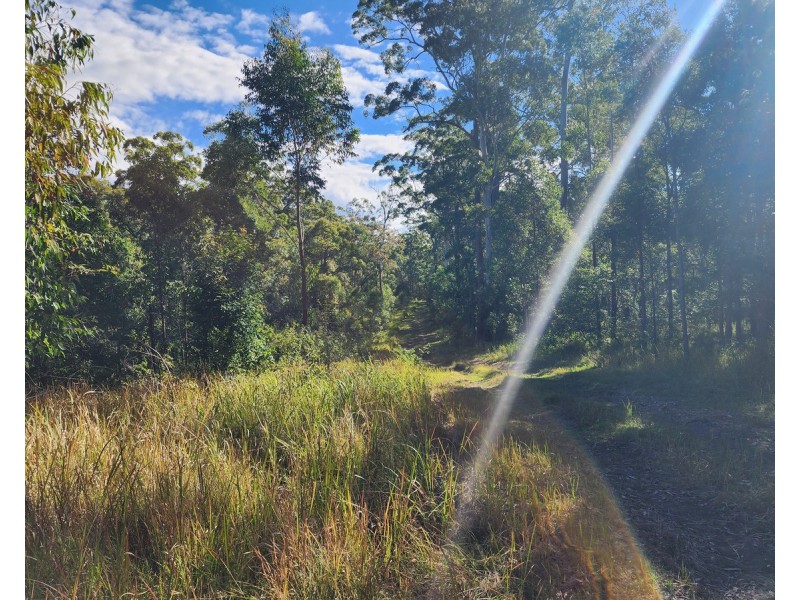 1 Seventeen Mile Road, Ravensbourne QLD 4352