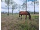 2 Kooralgin-Mt Binga Road, Kooralgin QLD 4402
