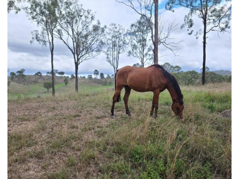 2 Kooralgin-Mt Binga Road, Kooralgin QLD 4402