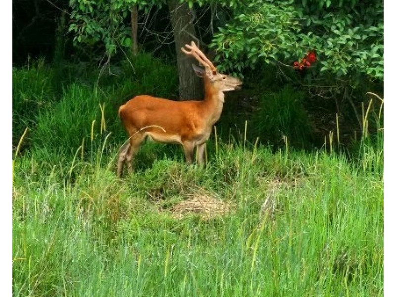 3206/31 Bourton Road, Merrimac QLD 4226