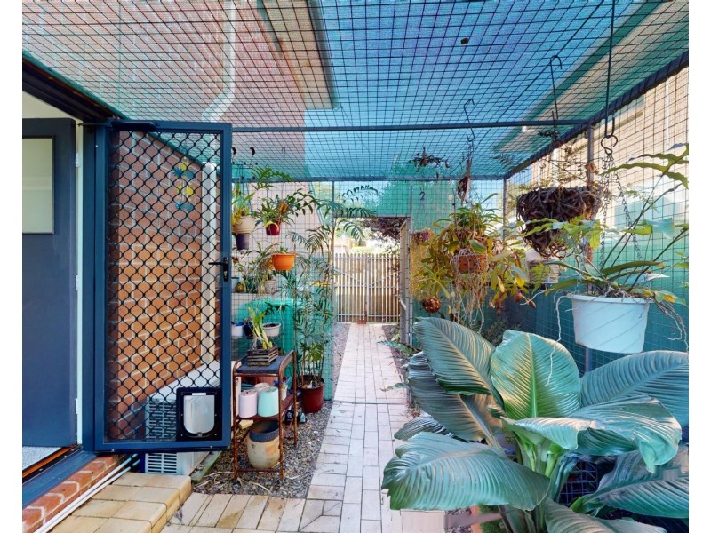 25 Drevesen Avenue, Cleveland QLD 4163