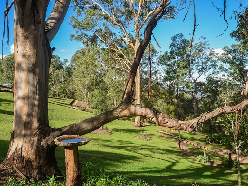 20 Montrose Road, Cabarlah QLD 4352