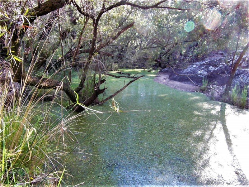 116 Beare Road, Maidenwell QLD 4615