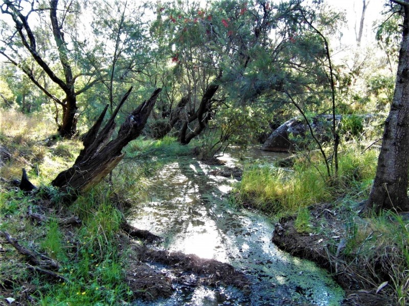 116 Beare Road, Maidenwell QLD 4615