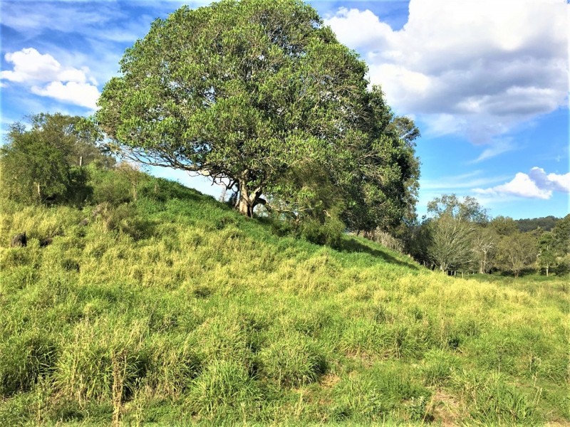 Lot 1 East Egypt Road, Mount Whitestone QLD 4347