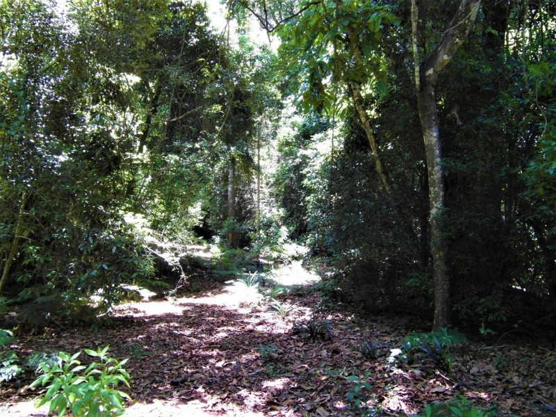 Lot 1 & 2 Burton Street, Bunya Mountains QLD 4405