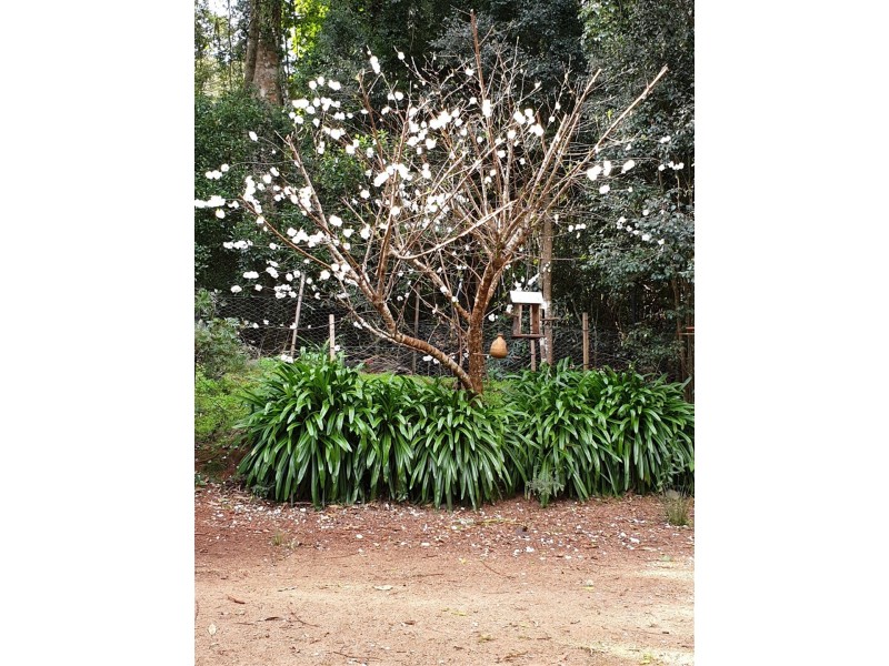 Lot 1 & 2 Burton Street, Bunya Mountains QLD 4405