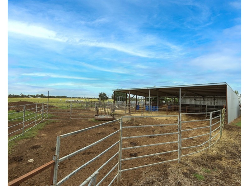 12371 Warrego Highway, Oakey QLD 4401