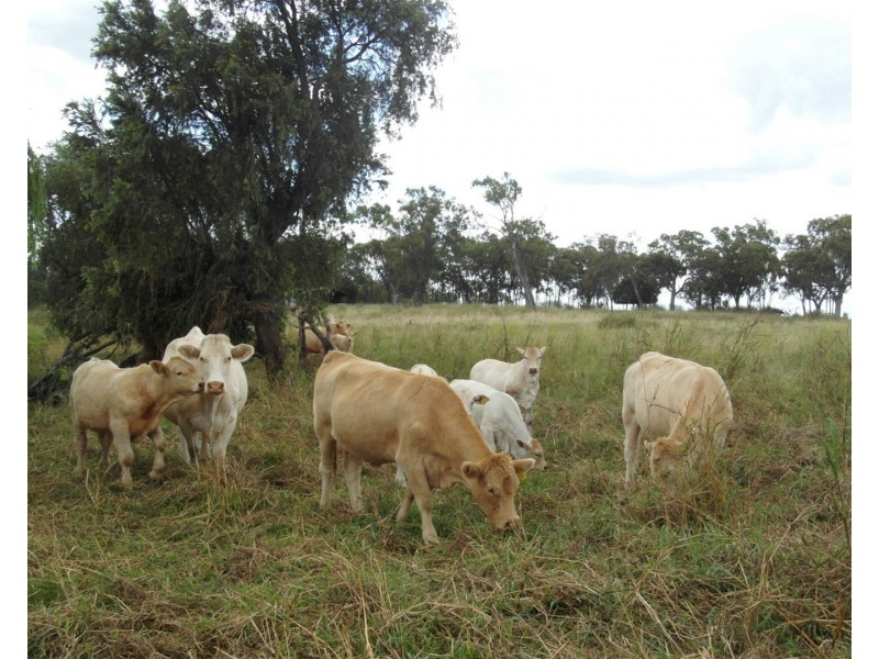 12371 Warrego Highway, Oakey QLD 4401