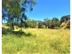 Lot 1 Gatton Clifton Road, Mount Whitestone QLD 4347
