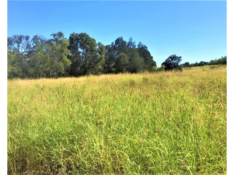 Lot 1 Gatton Clifton Road, Mount Whitestone QLD 4347