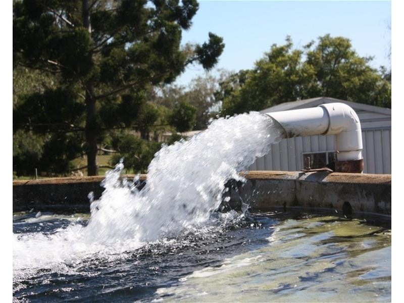 233 Motley Mount Tyson Road, Mount Tyson QLD 4356