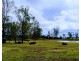 723 Jacksons Road, Durong QLD 4610