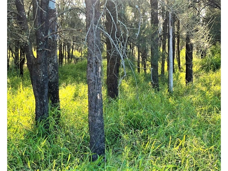 Lot 24 Old Ropeley Road, Ropeley QLD 4343