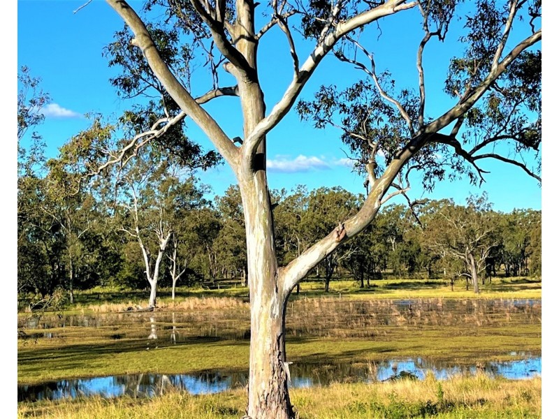Lot 24 Old Ropeley Road, Ropeley QLD 4343