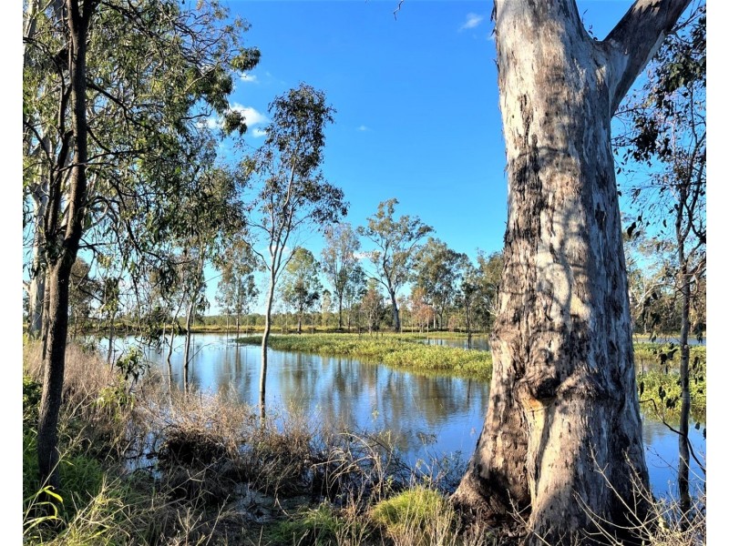 Lot 149 Old Ropeley Road, Ropeley QLD 4343