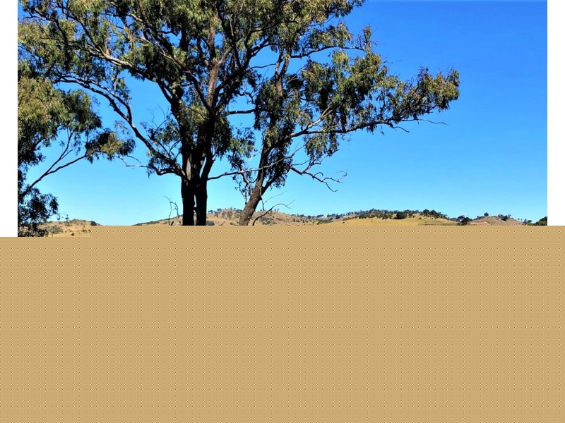 974 Bunya Mountains Maclagan Road, Maclagan QLD 4352