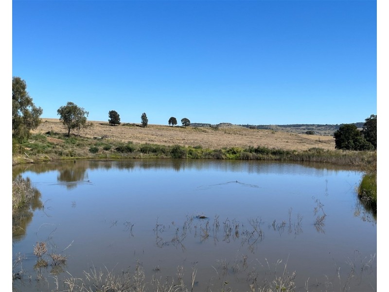 Lot 206 Bunya Mountains Maclagan Road, Maclagan QLD 4352