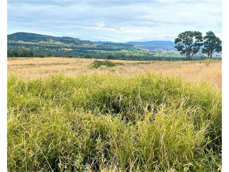 Lot 206 Bunya Mountains Maclagan Road, Maclagan QLD 4352