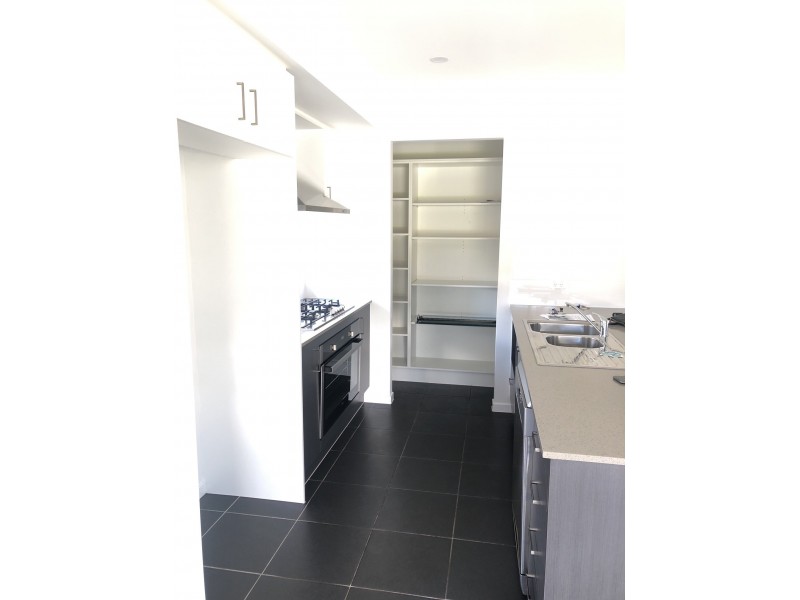 155 Billabong Parade, Chisholm NSW 2322