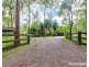 128 Eelah Road, Mindaribba NSW 2320