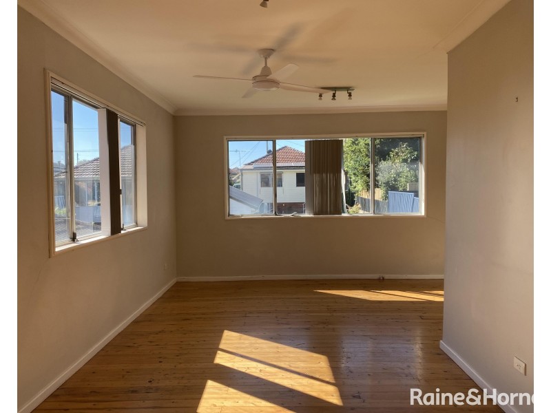 107 Lorna Street, Waratah West NSW 2298