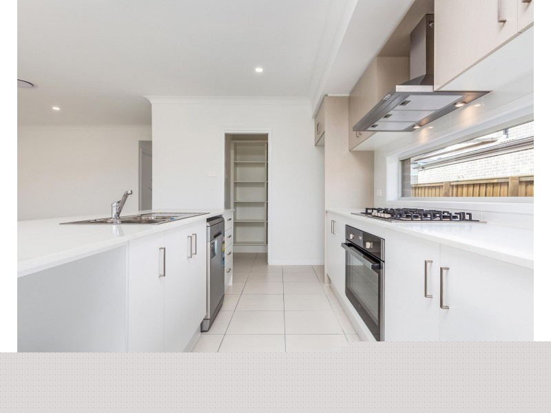 81 Tarragon Way, Chisholm NSW 2322